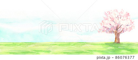 水彩で描いた桜の木と芝生の風景 86076377