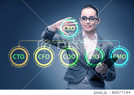 Businesswoman in the organisation chart concept 86077194