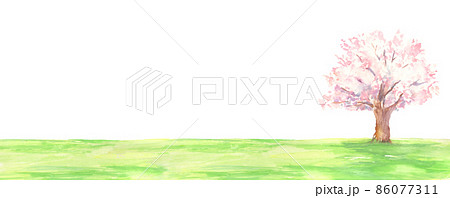 水彩で描いた桜の木と芝生の風景 86077311