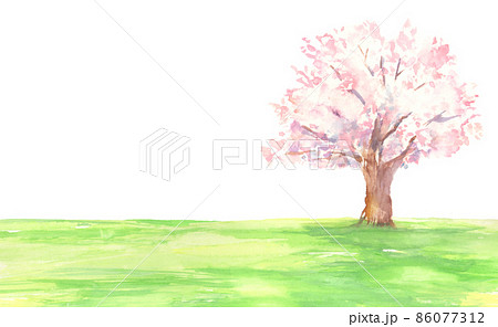 水彩で描いた桜の木と芝生の風景 86077312