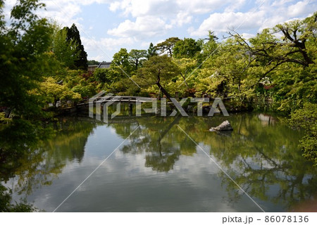 京都 春の永観堂の放生池と錦雲橋 新緑モミジ 京都 春の永観堂の放生池と錦雲橋 新緑モミジ 86078136