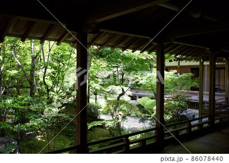 京都　春の永観堂の古方丈の庭　新緑　禅林寺 86078440
