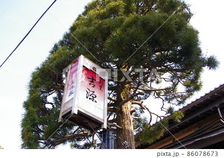SL村上ひな街道号で行く、村上ひな街道を歩く SL村上ひな街道号で行く、村上ひな街道を歩く 86078673