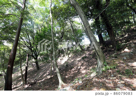 美濃金山城 美濃金山城 86079083