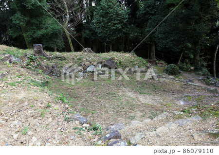 美濃金山城 86079110