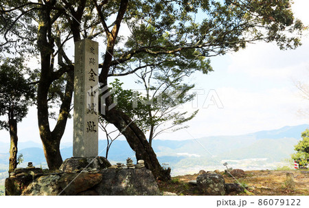美濃金山城 86079122