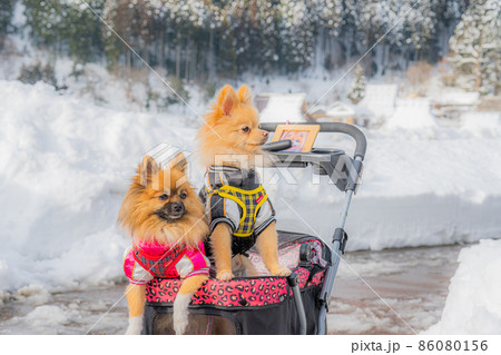 美山茅葺の里 86080156