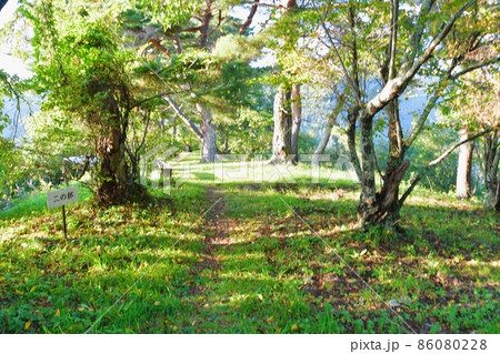 真田氏本城 ニの郭 真田氏本城 ニの郭 86080228