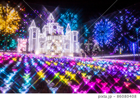 あしかがフラワーパーク 冬のイルミネーション あしかがフラワーパーク 冬のイルミネーション 86080408