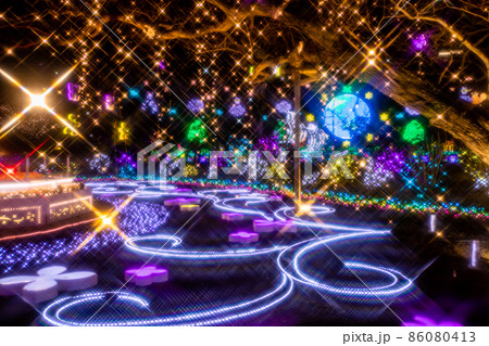 あしかがフラワーパーク 冬のイルミネーション あしかがフラワーパーク 冬のイルミネーション 86080413