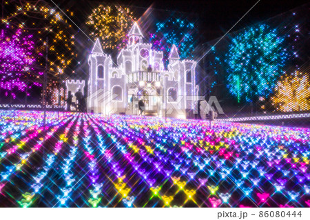 あしかがフラワーパーク　冬のイルミネーション 86080444