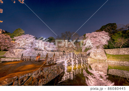 ライトアップされた夜桜と城 86080445