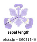 アヤメの花のガクの長さの図示 86081340