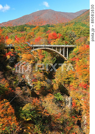 【宮城県】朝日を浴びる鳴子峡の紅葉 86081630
