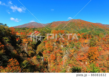 【宮城県】朝日を浴びる鳴子峡の紅葉 86081632
