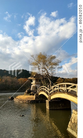 滋賀県湖北の三島池 86082050