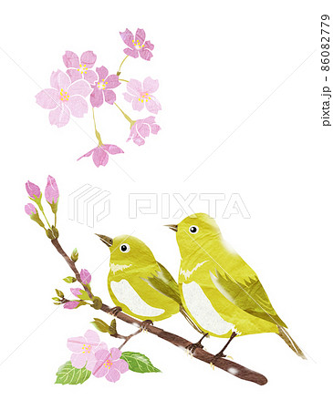 桜の木にとまる二羽の野鳥 桜の木にとまる二羽の野鳥 86082779