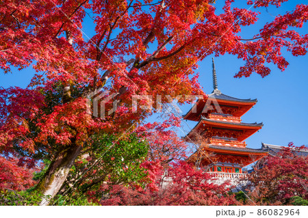 京都 清水寺の三重塔と紅葉 京都 清水寺の三重塔と紅葉 86082964