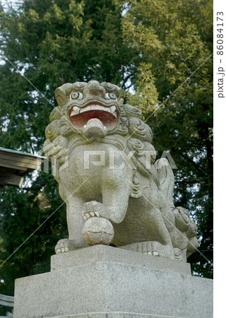 神峰神社　こま犬 86084173
