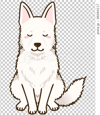 鞠躬白牧羊犬 86084217