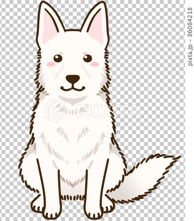 白牧羊人 86084218