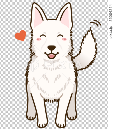 Natsuki White Shepherd 86084224