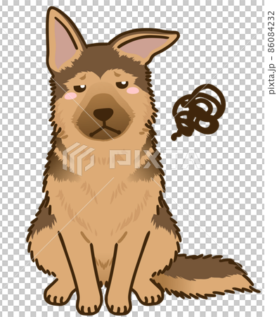 Dissatisfied German Shepherd Dissatisfied German Shepherd 86084232