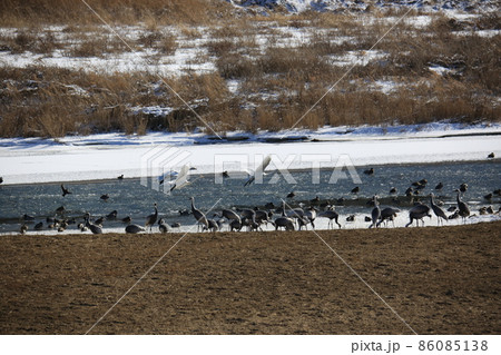積雪 風景 屋外 86085138