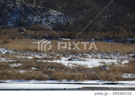 積雪 雪景色 つる 86086416