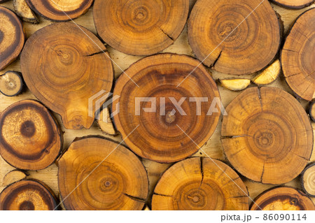 Wooden decorative panel made from round cuts of wood 86090114