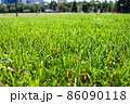 Green grass background. Close-up. Green grass texture. 86090118