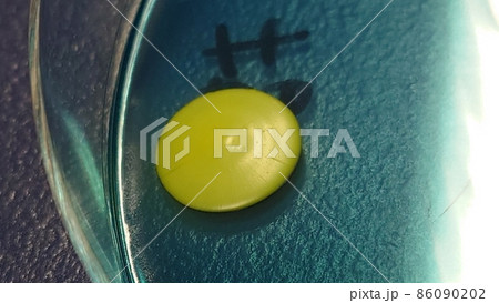 しっかりと大きな黄色いコロニー しっかりと大きな黄色いコロニー 86090202