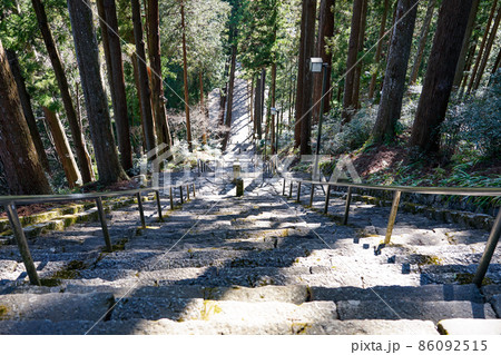 菩提梯　身延山久遠寺（山梨県身延町） 86092515