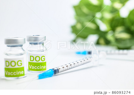 犬の予防注射イメージ 86093274