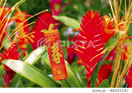 春節 中国正月 中国新年 86093287