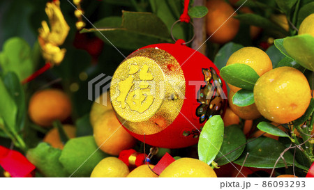 春節 中国正月 中国新年 86093293