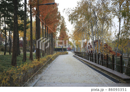 ソウル 仙遊島 公園 86093351