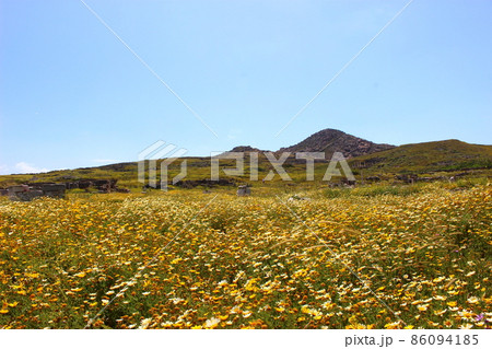 ギリシャ古代遺跡の島、デロス島　ギリシャ 86094185