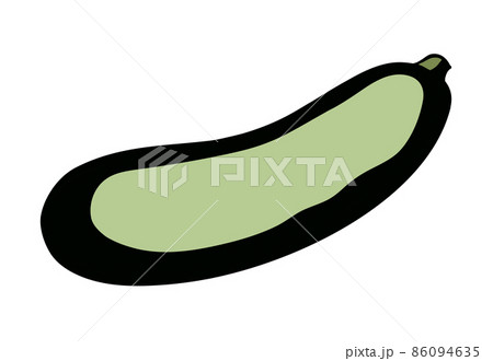 Zucchini gourd. Vector drawing icon 86094635