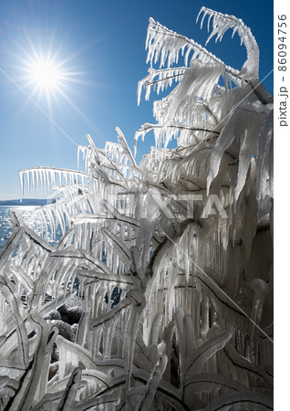 しぶき氷　猪苗代湖　冬景色 86094756