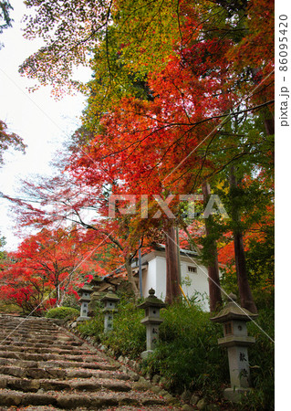 胡宮神社の秋2021 胡宮神社の秋2021 86095420