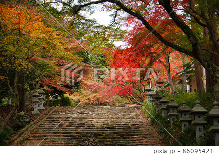 胡宮神社の秋2021 胡宮神社の秋2021 86095421