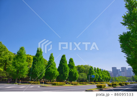 【東京都】4月・新緑の国会議事堂 周辺の風景 【東京都】4月・新緑の国会議事堂 周辺の風景 86095533