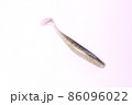 バス用ソフトルアー　シャッドテール 86096022