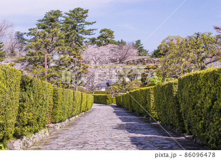 松阪観光スポット　桜と御番城屋敷　桜と松坂城跡(松阪)　春の三重県の観光地 86096478