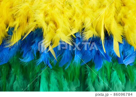 Brazilian Background From Feathers In The Brazilian Ethnic Color