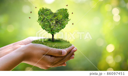 hand holding a heart tree environment earth day 86097451