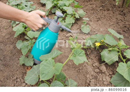 Male hand holding spray bottle 86099016