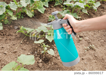 Male hand holding spray bottle Male hand holding spray bottle 86099017