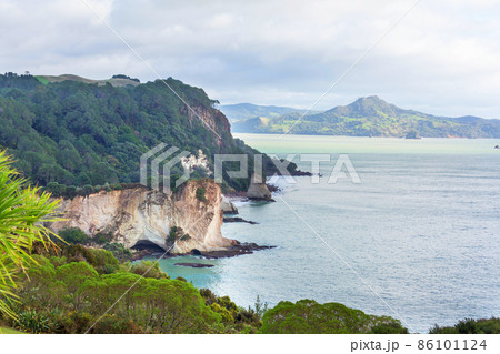 New Zealand coast 86101124